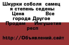 Шкурки соболя (самец) 1-я степень седены › Цена ­ 12 000 - Все города Другое » Продам   . Ингушетия респ.